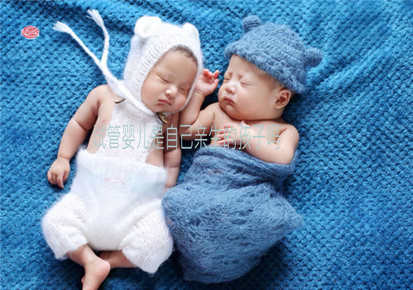 武汉市哪些医院可做供卵试管,第三代试管机构：武汉哪家医院做供卵试管婴儿