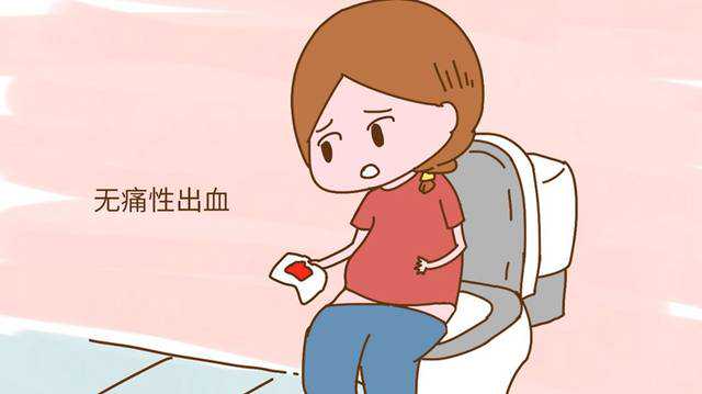 精选内蒙古奶酪推荐:品味正宗醇厚奶香