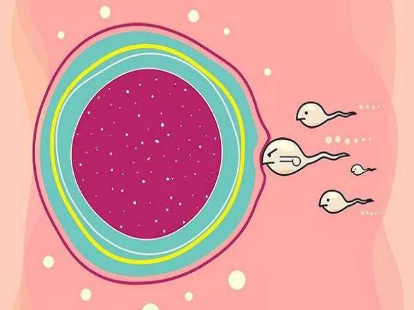 成都怎么去代怀,成都试管婴儿科普：80、90后的青年卵巢早衰了还能做试管吗？